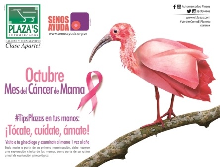 Automercados Plaza’s presente en el mes de la lucha contra el cáncer de mama