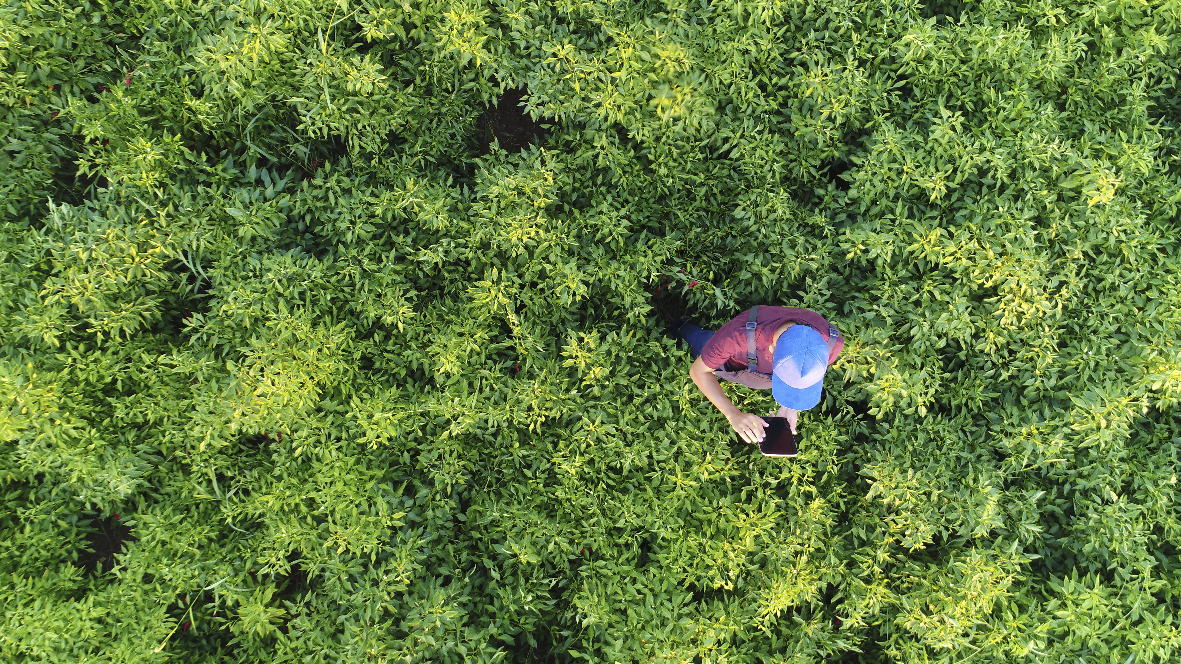 ¿Cómo está redefiniendo la tecnología a la agricultura?